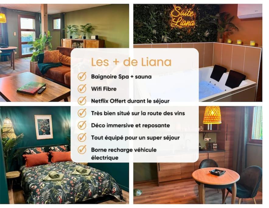 Suite Liana - Spa- Sauna Rorschwihr ภายนอก รูปภาพ