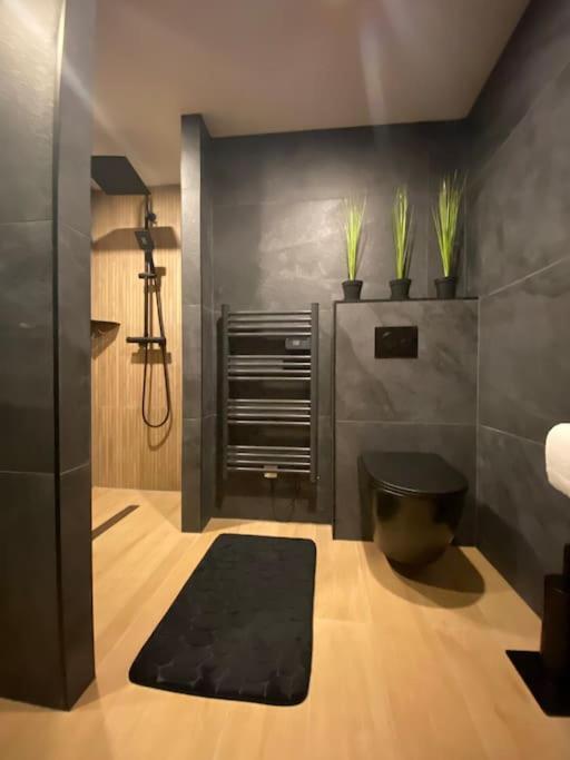 Suite Liana - Spa- Sauna Rorschwihr ภายนอก รูปภาพ